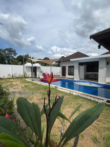 QD Villa - image 4