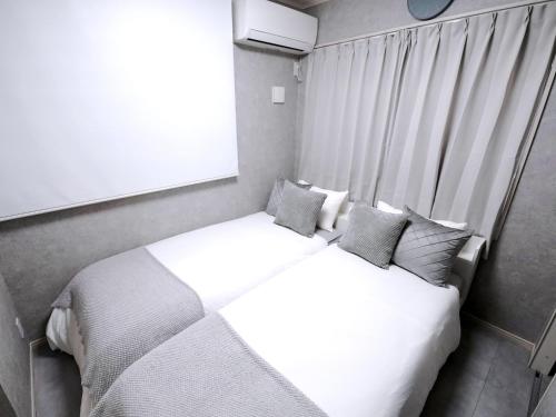 Near Asakusa, Projector, Twin and Semi Double Rooms