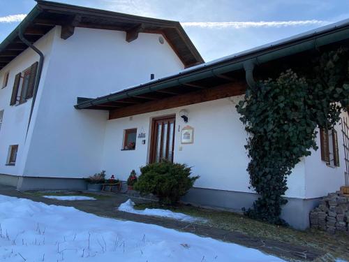 Bergnest Fieberbrunn in 菲伯布倫