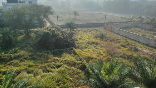 View, Laxmi Narasimha homestay in Mayapur