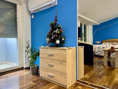 Stan na dan Flower - Location saisonnière - Šabac