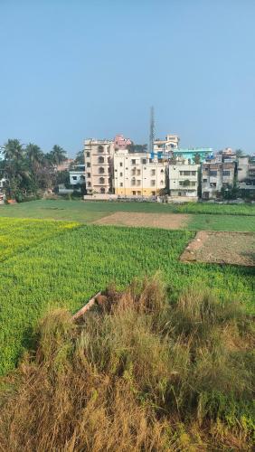 View, Laxmi Narasimha homestay in Mayapur