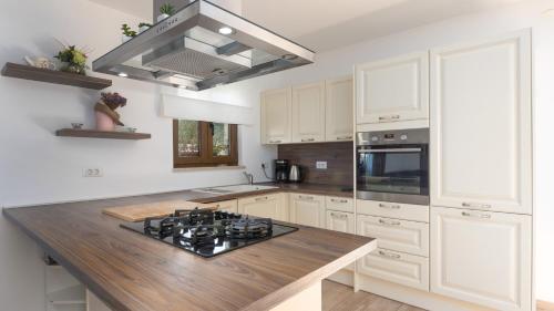 Beautiful Villa Casa Noemi with pool in Porec - image 3