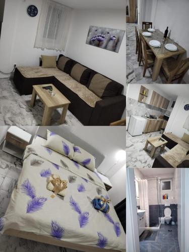 Apartman Ristic Vrnjacka banja