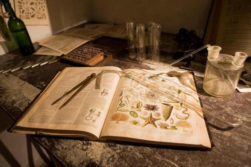 Surprenantes- Jules Verne - image 9