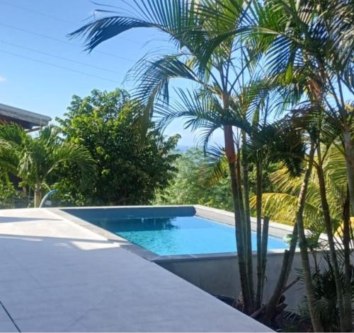 สระว่ายน้ำ, Le Carbet des Anges - Villa avec piscine in เลอการ์เบ