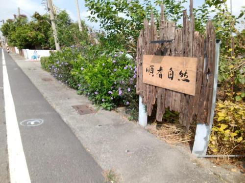 Exterior view, 順耆自然Shun Ci Zih Ran in Xingang Township