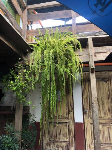 Vybavení, Kamazoztz Hostel and Travel in Antigua Guatemala