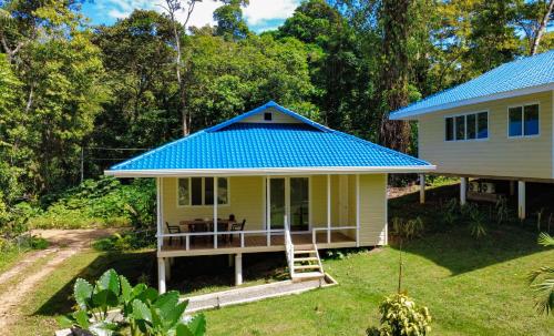 Spot on Drago - Bocas del Toro
