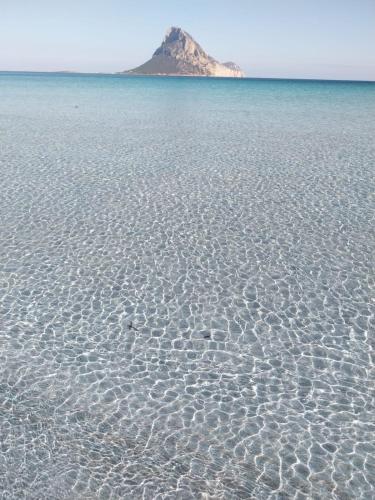 A környék, Isola Natura Farm Retreat Sardinia in Tempio Pausania