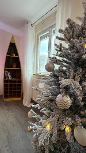 Forest View, Klimaanlage im Studio, ganzes Haus 100qm, 2 Schlafzimmer, 2 Bader, Badewanne, Garten &  in Braunfels