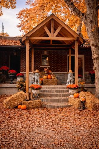 Peaceful Forest Retreat with Fire Pit and BBQ near Mansfield Ski Club in Mansfield (ON)