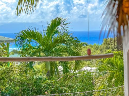 Gîte Bleu Caraïbes - Vue mer (Gite Bleu Caraibes - Vue mer) in Grand Bourg