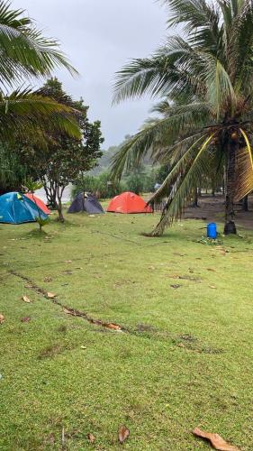 Tenda Reguler Pantai Madasari - Pangandaran
