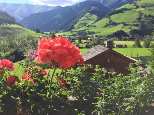  Landhaus Bergheimat, Pension in Rauris