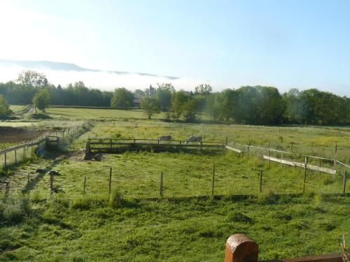 Chez Camille - image 14