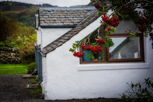 Oban Seil Farm