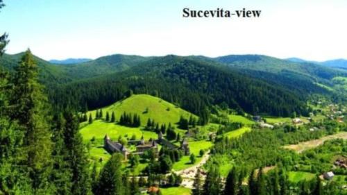 ที่เที่ยวใกล้ที่พัก, Pensiunea Letitia in ซูเซวิตา