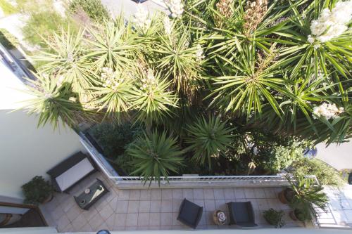 Luxury B&B lecce - image 14