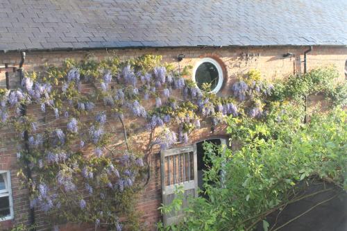The Jockey Room Hideaway - image 4