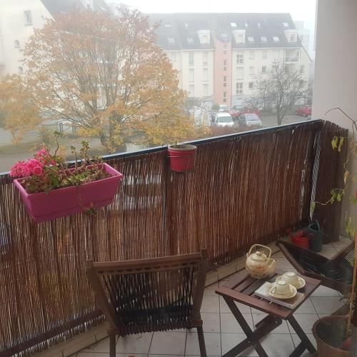 Lovely apartment with a garage on premises in Lingolsheim