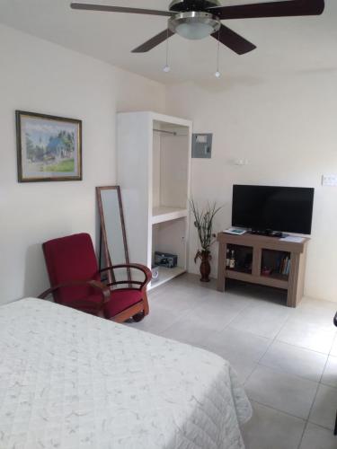 C'VAR Residential Vacation Apartment Rentals in Bridgetown