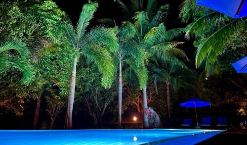 PawPaw Resort - 주변 환경