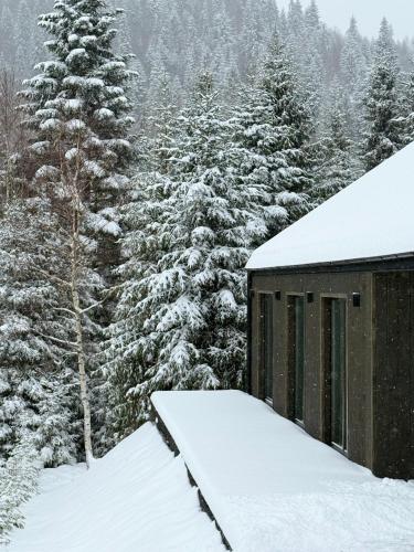 Cottages Shepit Lisu New in 奧里亞夫奇克鎮