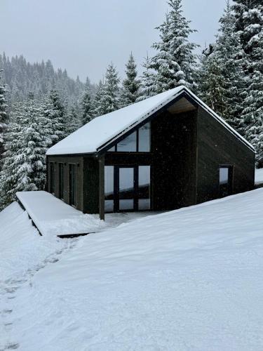 Cottages Shepit Lisu New in 奧里亞夫奇克鎮