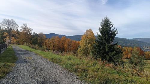 Apalupa na Hojsovce in Zelezna Ruda