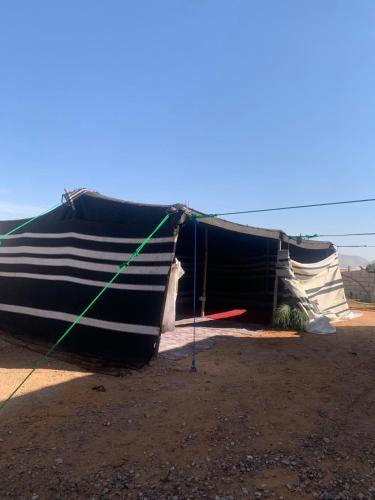 . Bedouin experiences