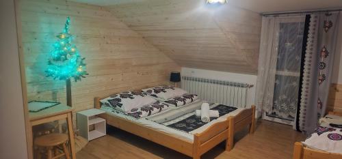 Willa Grzesiczek z widokiem na Tatry – Zakopane, IA