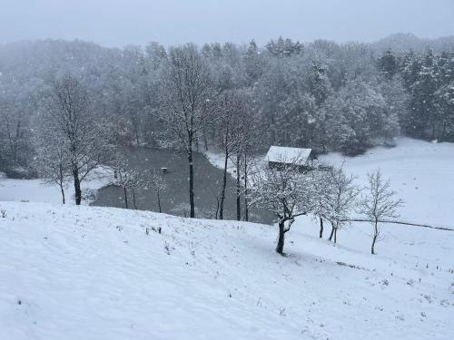 Prista Ranch Cirkulane in Zagorje ob Savi