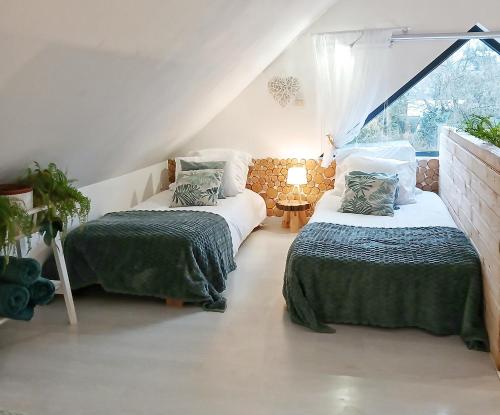 4 twin beds, 2 sofa beds