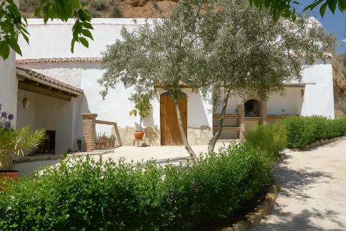 外部景觀, Cuevas Cortijo El Capellán (Cuevas Cortijo El Capellan) in 哥爾特西格賴納