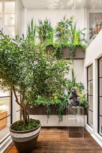 Ultra Luxury Home - Glass Atrium AC Terrace - image 2