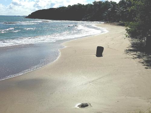 Pantai, kaz a gabou in Sainte Rose