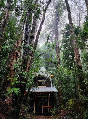 . Cabaña Alto del Bosque