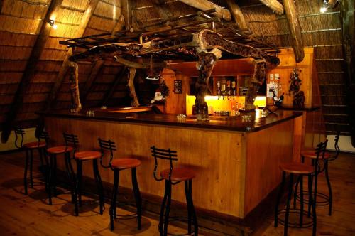 바/라운지, Bushbaby Lodge & Camping in 흘루흘루웨