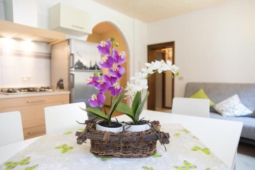 Venice Biennale Garibaldi - image 6