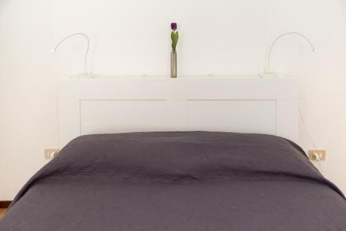 Venice Biennale Garibaldi - main image