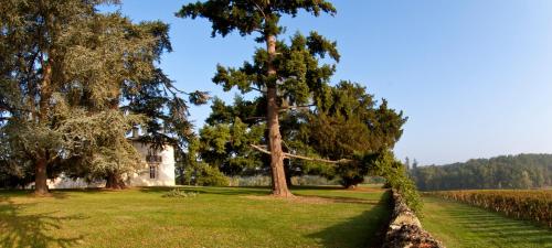 Les Secrets Château Pey La Tour - Groupe LOGIS HOTELS