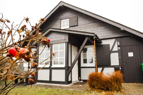 Chalet zur Postwiese – khách sạn tại Neuastenberg