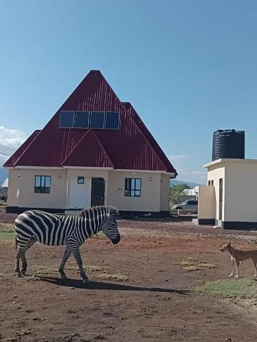 Zebra Homestay – khách sạn tại Mto Wa Mbu