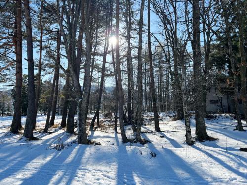 المنظر الخارجي, Dear Hostel HAKUBA in Hakuba