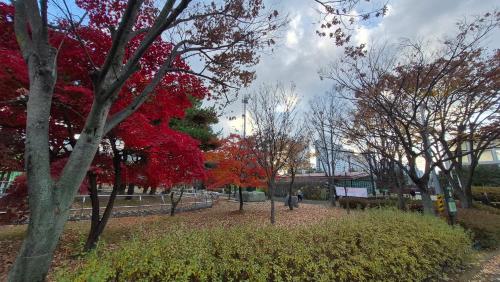 Nick's home02 in Jungsan