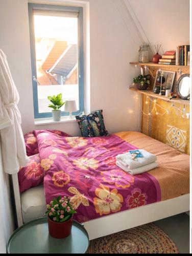 Canal House - Homestay 4