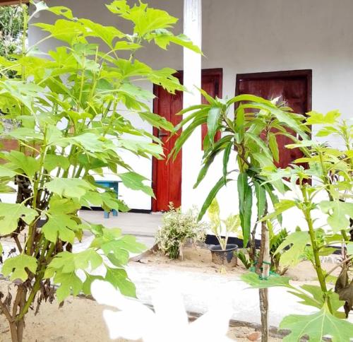 FR Resort Arugambay — other in 208, Cemetery Road, Arugambay, Sri Lanka, Arugam Bay, 32500, Sri Lanka