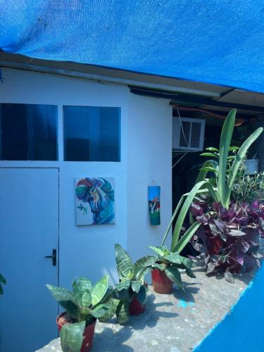 Hostel La petite maison de Diana in Asunción