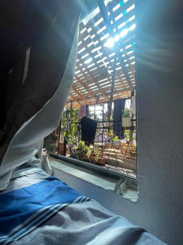 Hostel La petite maison de Diana in Asunción